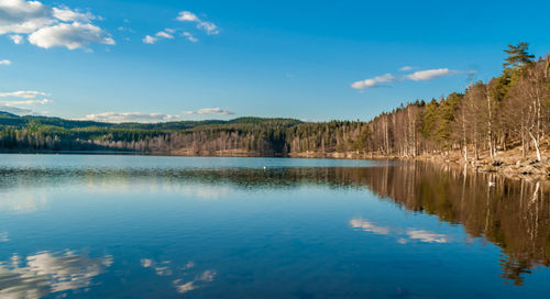 Scenic view of lake by trees against blue sky