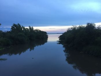 Reflection of trees in water against sky