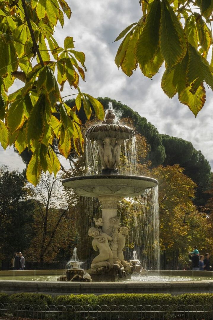 tree, sky, fountain, cloud - sky, statue, park - man made space, sculpture, water, art and craft, art, human representation, growth, nature, grass, incidental people, green color, day, outdoors, built structure, cloud