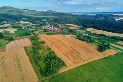 Scenic view of agricultural field against sky