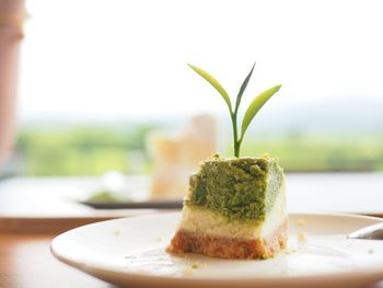 Close-up of dessert in plate on table