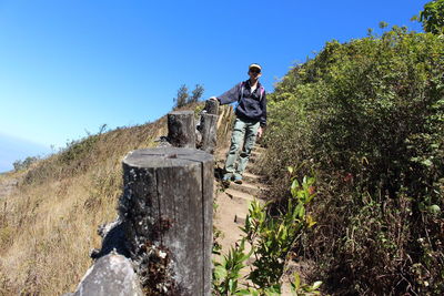Man standing by plant against clear sky