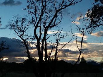 Low angle view of silhouette bare tree against sky during sunset