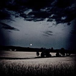 Scenic view of grassy field against sky