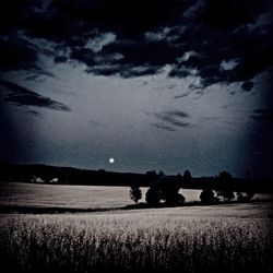 Scenic view of grassy field against sky