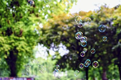 Close-up of bubbles