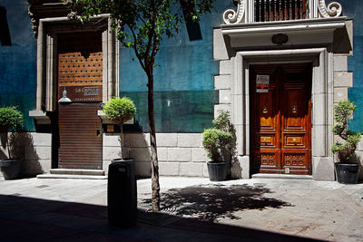 Potted plants on sidewalk by building