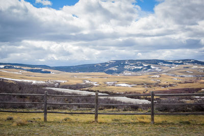 Scenic view of agricultural field against sky