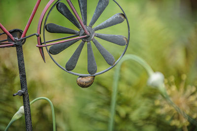 Snail is hanging on wind chime wheel. never ending story.