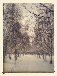 Scenic view of snow covered landscape