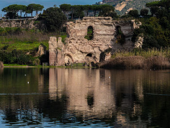 View of lake with plants in foreground