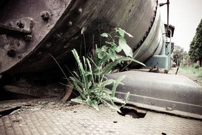 Close-up of abandoned truck