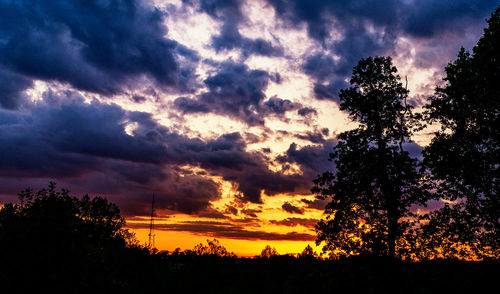 Low angle view of silhouette trees against dramatic sky