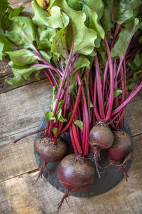 High angle view of vegetables on table