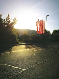 Sun shining through trees