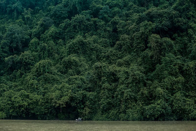 Scenic view small boat amid a mountain of forest 