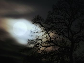 Low angle view of bare tree against moon at night