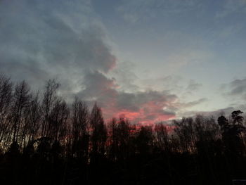 Silhouette trees against sky during sunset