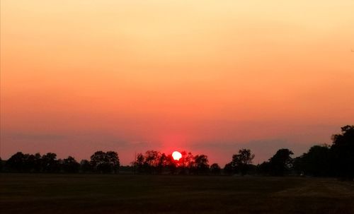 Silhouette trees on field against orange sky