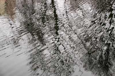 Full frame shot of tree reflection in water