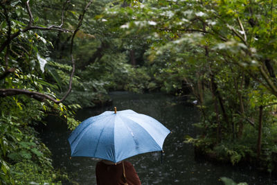 Rear view of woman with umbrella in forest