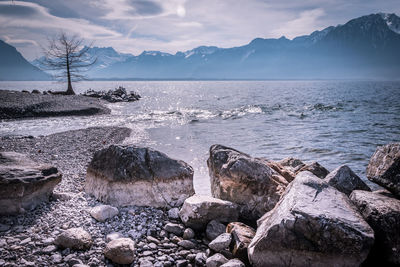 Scenic view of sea against sky