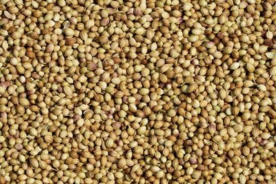 Coriander seeds. full frame view of dry coriander spices kept for sale in the market.