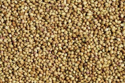 Coriander seeds. full frame view of dry coriander spices kept for sale in the market.