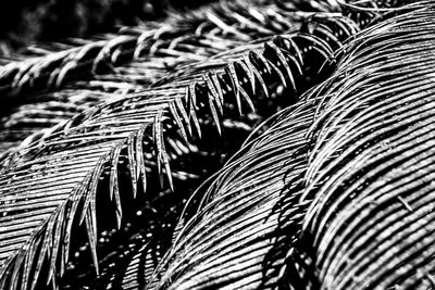 Full frame shot of pattern