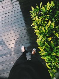 Low section of man standing by plants