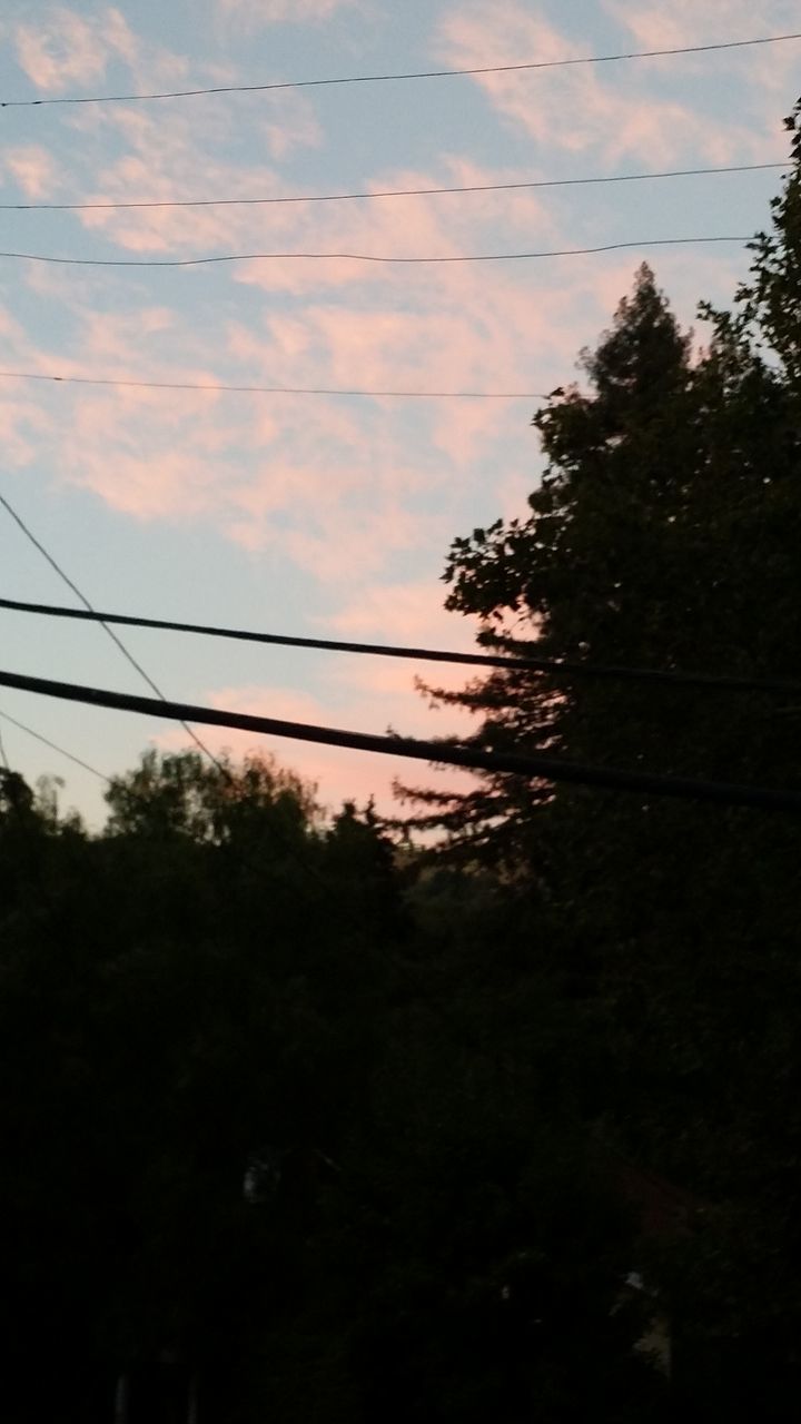 silhouette, tree, low angle view, sky, tranquility, cloud - sky, nature, tranquil scene, beauty in nature, scenics, sunset, power line, cloud, dusk, cloudy, tree trunk, growth, outdoors, branch, no people