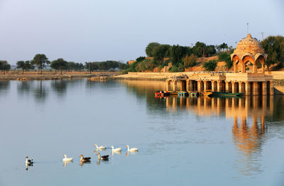 View of birds in calm water