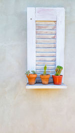 Potted plant on table against wall