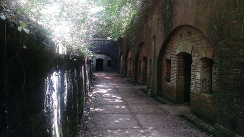 Empty footpath amidst buildings