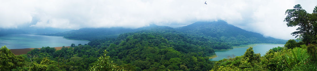 Panoramic view of trees and mountains against sky