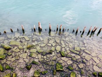 High angle view of people by lake