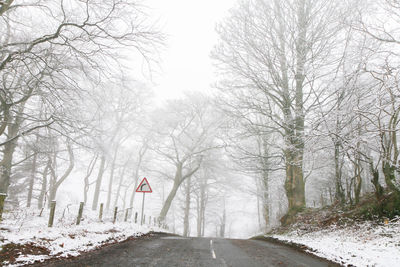 Road amidst bare trees during winter