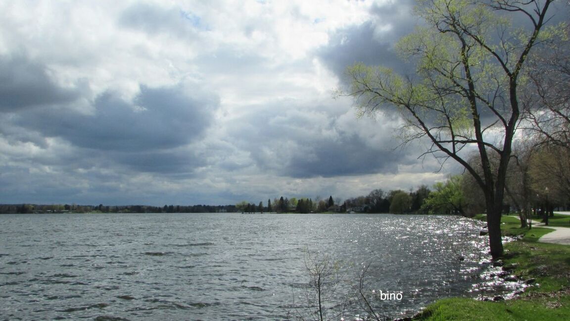 tree, nature, sky, water, beauty in nature, tranquility, no people, outdoors, lake, scenics, scenery, day, cloud - sky, branch