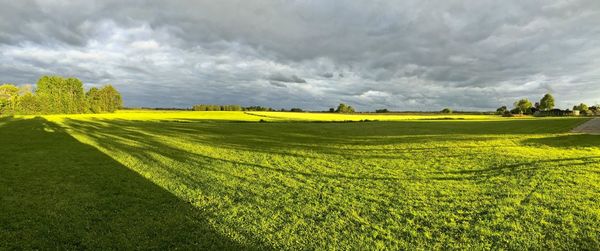 Scenic view of agricultural field against sky