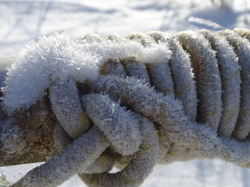 Close-up of rope tied on snow