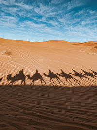 Scenic view of sand dunes in desert against sky