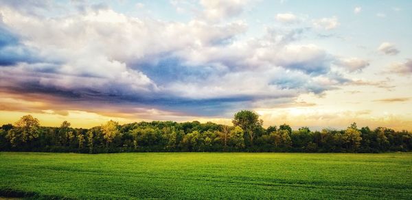 Scenic view of field against sky during sunset