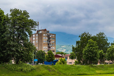 Trees and buildings against sky