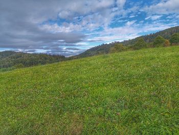 Scenic view of field against sky