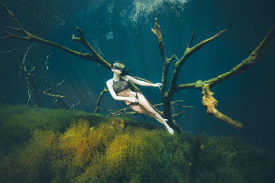 Woman swimming underwater against branches