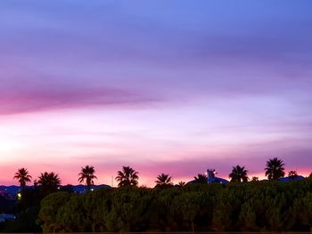 Palm trees on field against sky at sunset