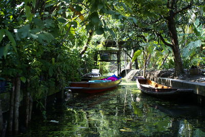 Boats moored on trees