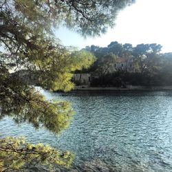 Scenic view of river in forest against sky