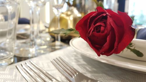 Close-up of red rose on table