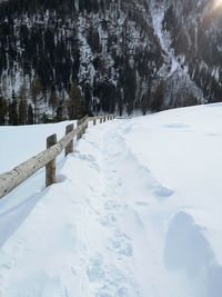 Snow covered land and trees on field